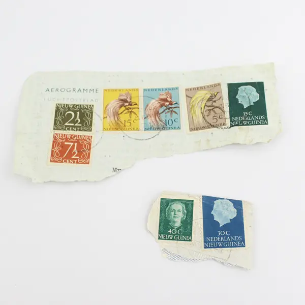 Lot Of 8 Dutch New Guinea Stamps Used On Paper Canceled 