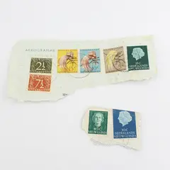 Lot Of 8 Dutch New Guinea Stamps Used On Paper Canceled 