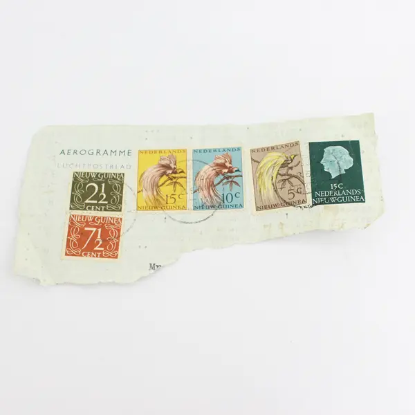 Lot Of 8 Dutch New Guinea Stamps Used On Paper Canceled 