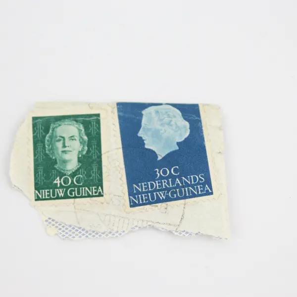 Lot Of 8 Dutch New Guinea Stamps Used On Paper Canceled 