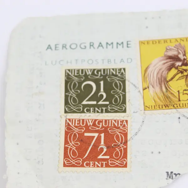 Lot Of 8 Dutch New Guinea Stamps Used On Paper Canceled 