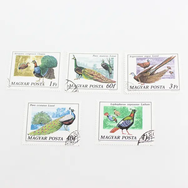 Lot Of 5 Hungary Magyar Posta Wildlife Birds Stamps OG Precancel 1970s