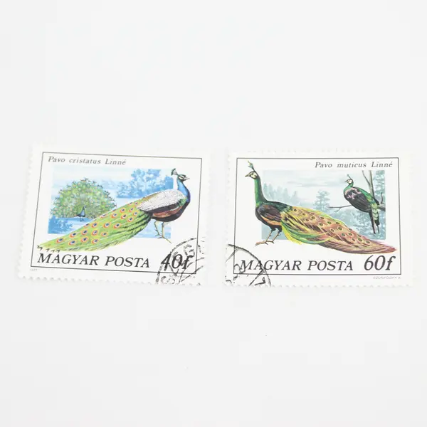 Lot Of 5 Hungary Magyar Posta Wildlife Birds Stamps OG Precancel 1970s