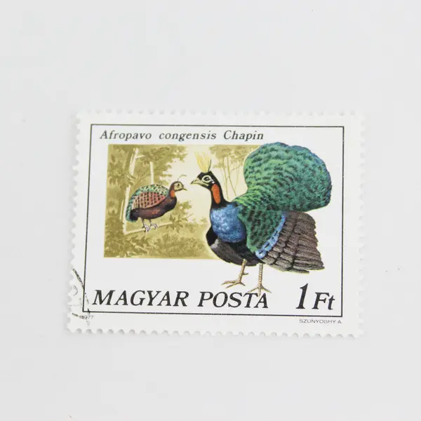 Lot Of 5 Hungary Magyar Posta Wildlife Birds Stamps OG Precancel 1970s