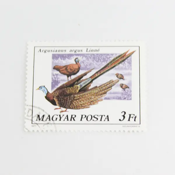 Lot Of 5 Hungary Magyar Posta Wildlife Birds Stamps OG Precancel 1970s
