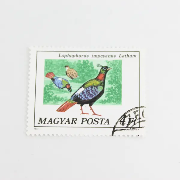 Lot Of 5 Hungary Magyar Posta Wildlife Birds Stamps OG Precancel 1970s