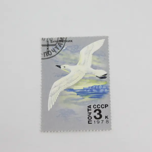 Lot Of 4 Russia Arctic Fish Wildlife Stamps 1978 OG Precanceled 