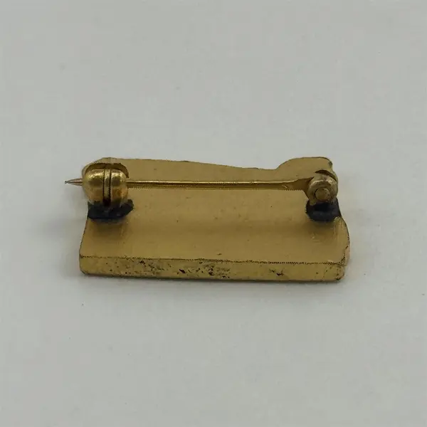 Vintage ALA American Legion Auxiliary Oregon Girls' State Pin Brooch