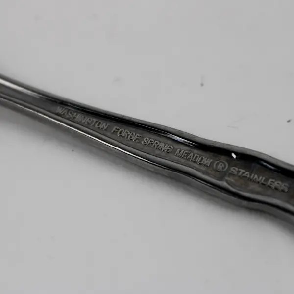 Lot of 4 Washington Forge Spring Meadow Pattern Stainless Teaspoons 6" Good