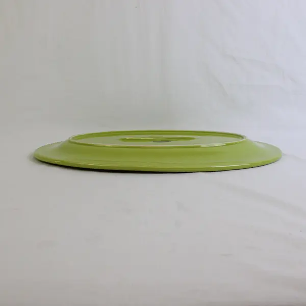 American Retro Light Green Farm House Style 16.5" Oval Serving Platter 2004