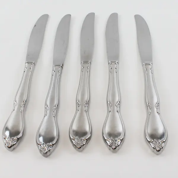 Lot Of 5 Oneida Silver Chatelaine (Stainless) Flatware Dinner Knives 8.75" Long