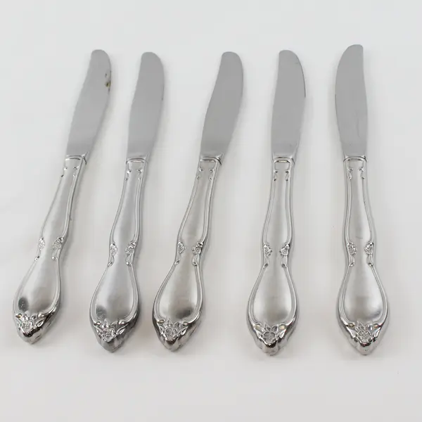 Lot Of 5 Oneida Silver Chatelaine (Stainless) Flatware Dinner Knives 8.75" Long