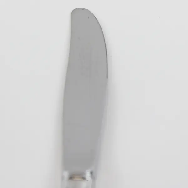 Lot Of 5 Oneida Silver Chatelaine (Stainless) Flatware Dinner Knives 8.75" Long