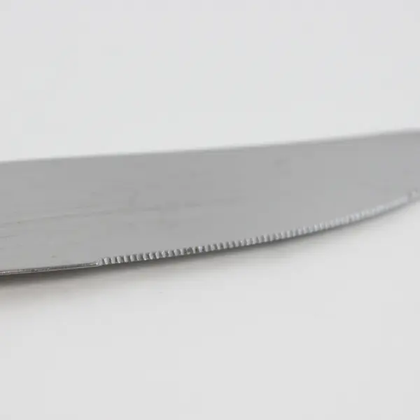 Lot Of 5 Oneida Silver Chatelaine (Stainless) Flatware Dinner Knives 8.75" Long