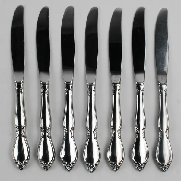 Lot Of 7 Oneida Silver Chatelaine (Stainless) Flatware Dinner Knives 8.75" Long