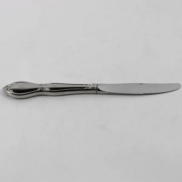 Lot Of 7 Oneida Silver Chatelaine (Stainless) Flatware Dinner Knives 8.75" Long