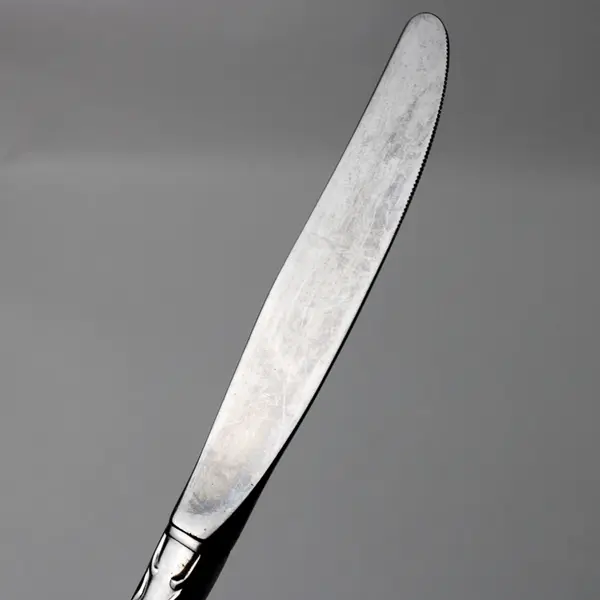 Lot Of 7 Oneida Silver Chatelaine (Stainless) Flatware Dinner Knives 8.75" Long