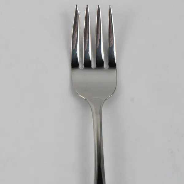 Lot Of 4 Oneida Silver Sand Dune (Stainless) Flatware Salad Forks 7" Long