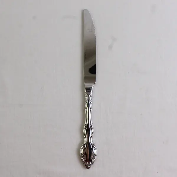 Oneida Silver Mikayla Pattern Stainless Solid Dinner Knife 9.5" Rare Good