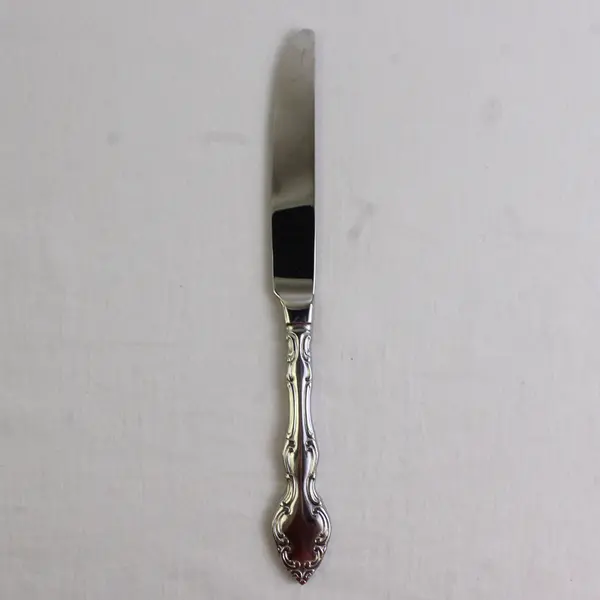 Oneida Silver Mikayla Pattern Stainless Solid Dinner Knife 9.5" Rare Good