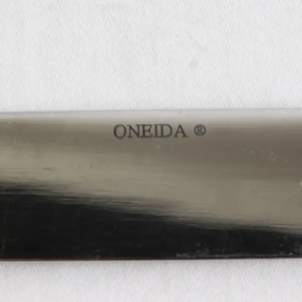 Oneida Silver Mikayla Pattern Stainless Solid Dinner Knife 9.5" Rare Good