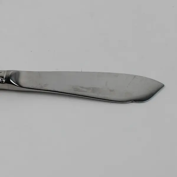 Wallace Silver French Regent Pattern 18/8 SS Butter Knife 7" Rare Good