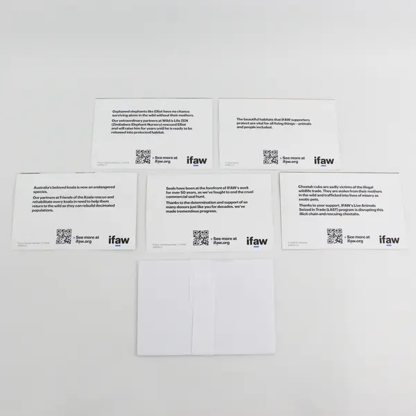 Lot of 5 IFAW Blank Notecards with Envelopes Animal Photography