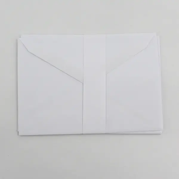 Lot of 5 IFAW Blank Notecards with Envelopes Animal Photography