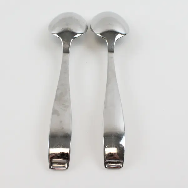 Lot Of 2 Hampton Silversmiths Bergen (Stainless) Flatware Solid Serving Spoon 8"