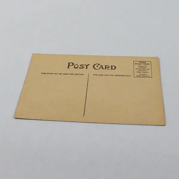 Lot Of 2 Springfield Oregon Birds Eye View Litho Postcards 1910s