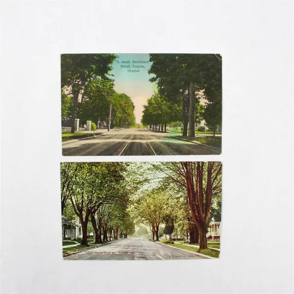 Lot Of 2 Eugene Oregon Residential Street Scene Color Litho Postcards