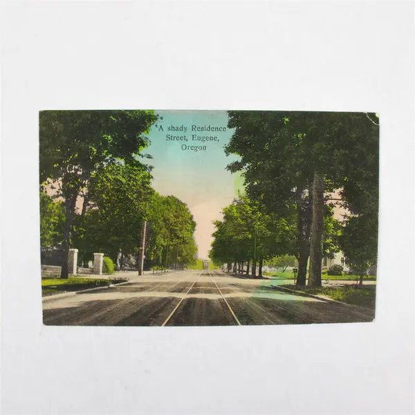 Lot Of 2 Eugene Oregon Residential Street Scene Color Litho Postcards