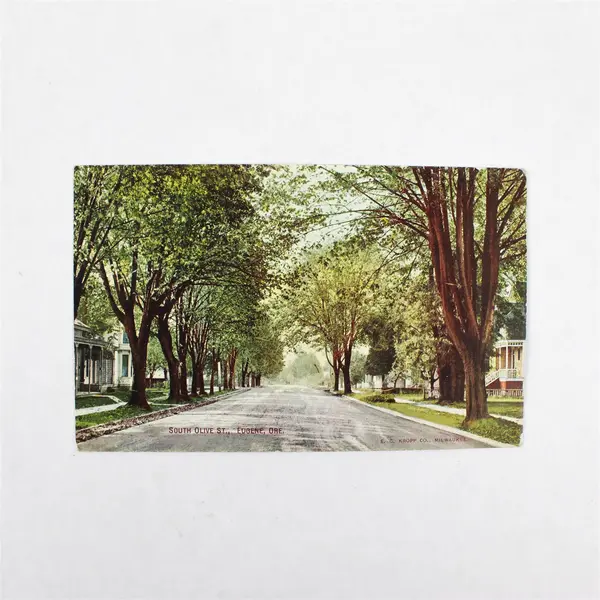 Lot Of 2 Eugene Oregon Residential Street Scene Color Litho Postcards