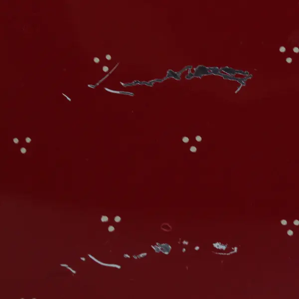 Vintage Crowning Touch Christmas Goose Tin 5.5"