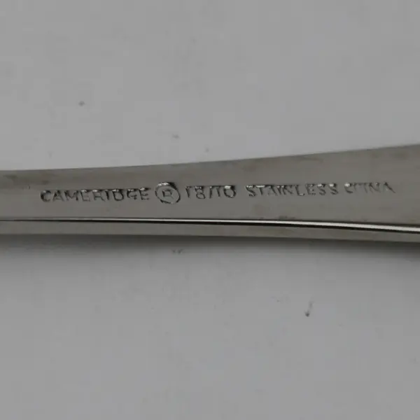 Lot Of 5 Cambridge Silver Dorsett (Stainless) Flatware Soup Spoons 9.25" Long