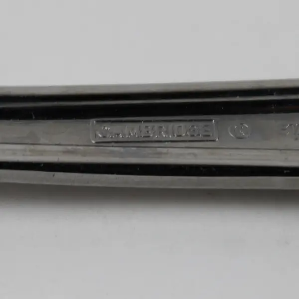 Lot Of 4 Cambridge Silver Dorsett (Stainless) Flatware 2 Serving Spoons 2 Forks