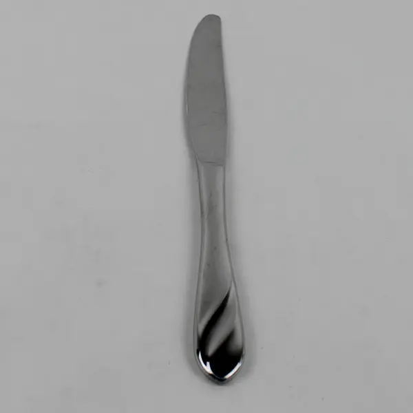 Cambridge Silver 18/10 SS Unknown Swirl Pattern Dinner Knife 9.25" HTF Rare Good
