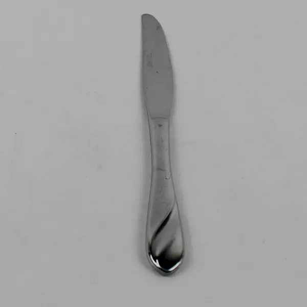 Cambridge Silver 18/10 SS Unknown Swirl Pattern Dinner Knife 9.25" HTF Rare Good