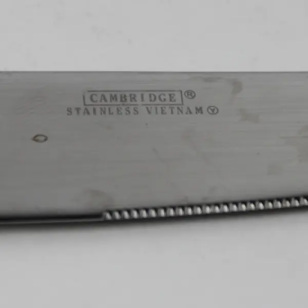 Cambridge Silver 18/10 SS Unknown Swirl Pattern Dinner Knife 9.25" HTF Rare Good