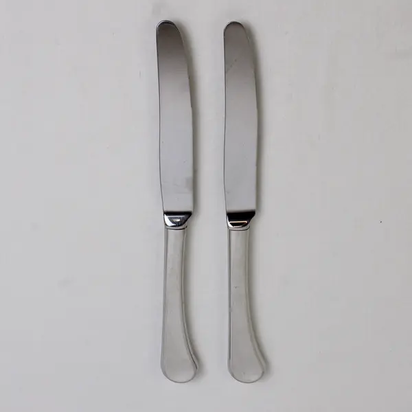 Lot of 2 Oneida Silver Caprice Pattern 18/8 SS Dinner Knives 9.5" Good