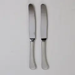 Lot of 2 Oneida Silver Caprice Pattern 18/8 SS Dinner Knives 9.5" Good
