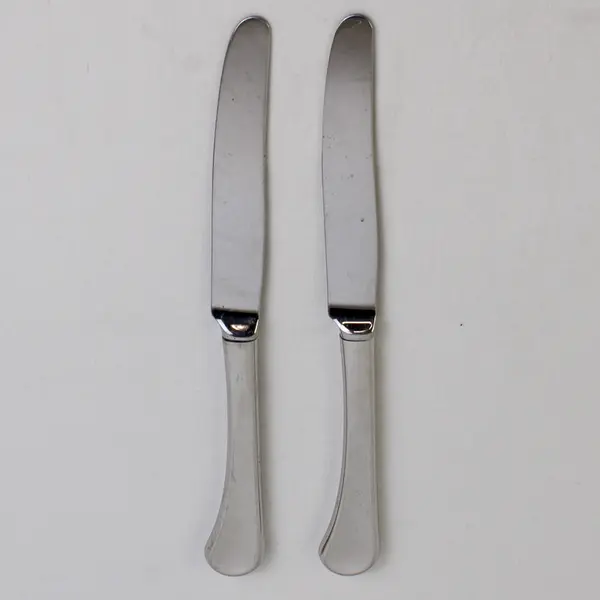 Lot of 2 Oneida Silver Caprice Pattern 18/8 SS Dinner Knives 9.5" Good