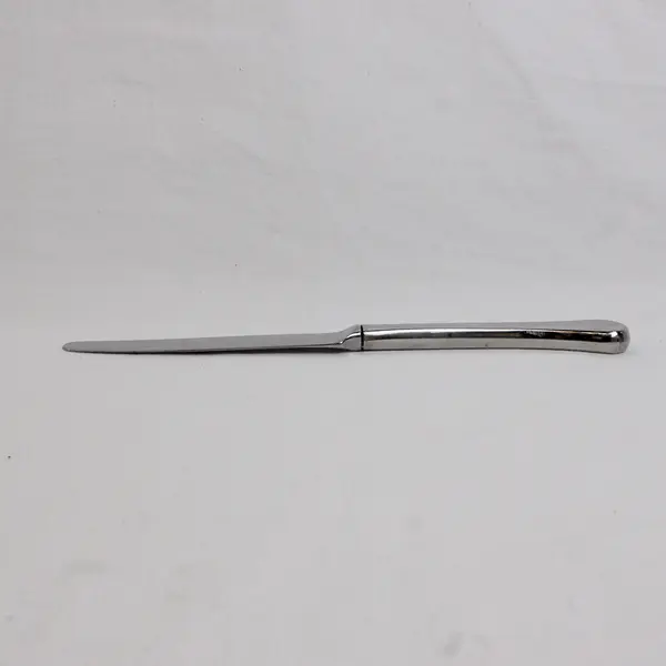 Lot of 2 Oneida Silver Caprice Pattern 18/8 SS Dinner Knives 9.5" Good