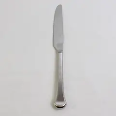 Oneida Silver Othenia Pattern Stainless Steel Dinner Knife 9.5" Long Good
