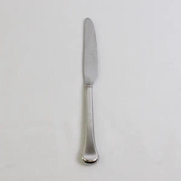 Oneida Silver Othenia Pattern Stainless Steel Dinner Knife 9.5" Long Good