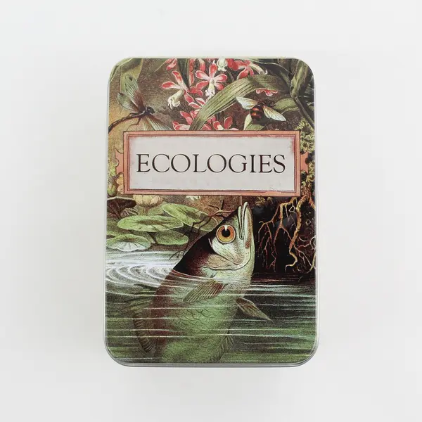 Montrose Biology Ecologies Card Game Science Build Food Webs Biomes 2019