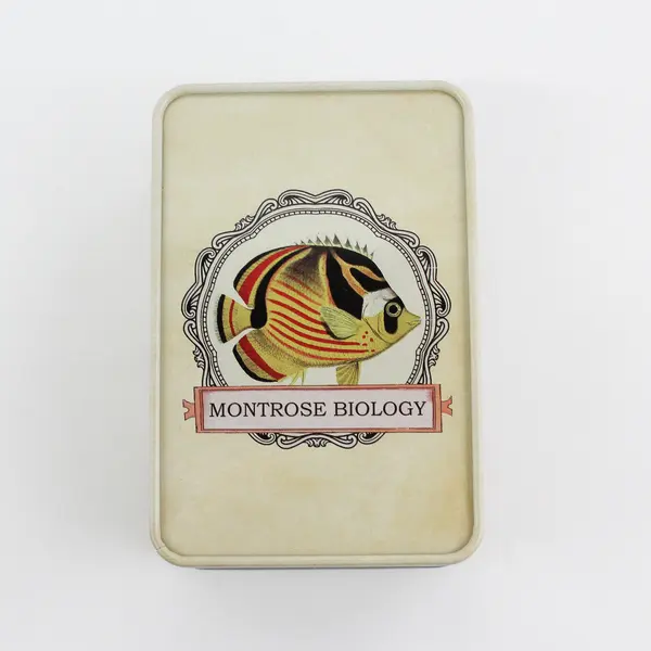 Montrose Biology Ecologies Card Game Science Build Food Webs Biomes 2019