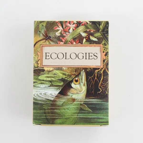 Montrose Biology Ecologies Card Game Science Build Food Webs Biomes 2019
