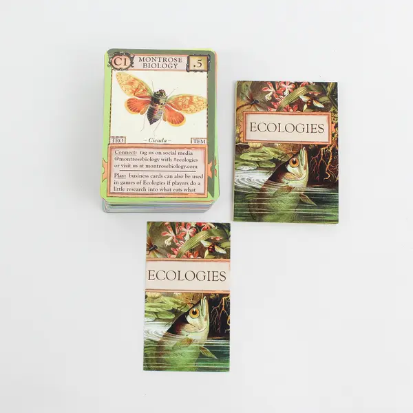 Montrose Biology Ecologies Card Game Science Build Food Webs Biomes 2019
