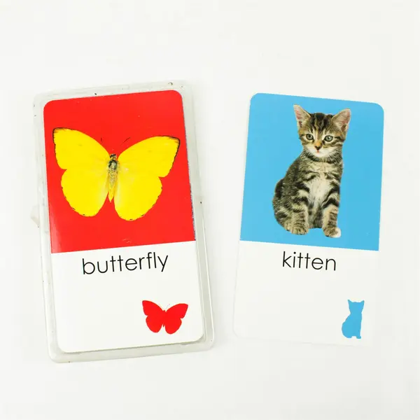 Sticker Flashcards Animals Early Learning Preschool Vocabulary Reading